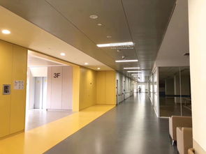 卡米諾建材 PVC商用卷材公司的優(yōu)質(zhì)塑膠地板供應(yīng)與優(yōu)惠圖片展示